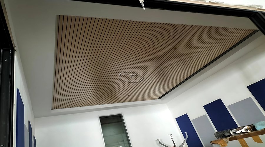 Architectural acoustics - detail
