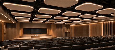 acoustical-hanging-baffles